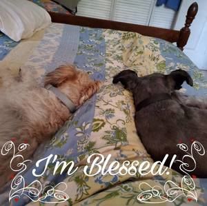 Meet your Posher, Karen